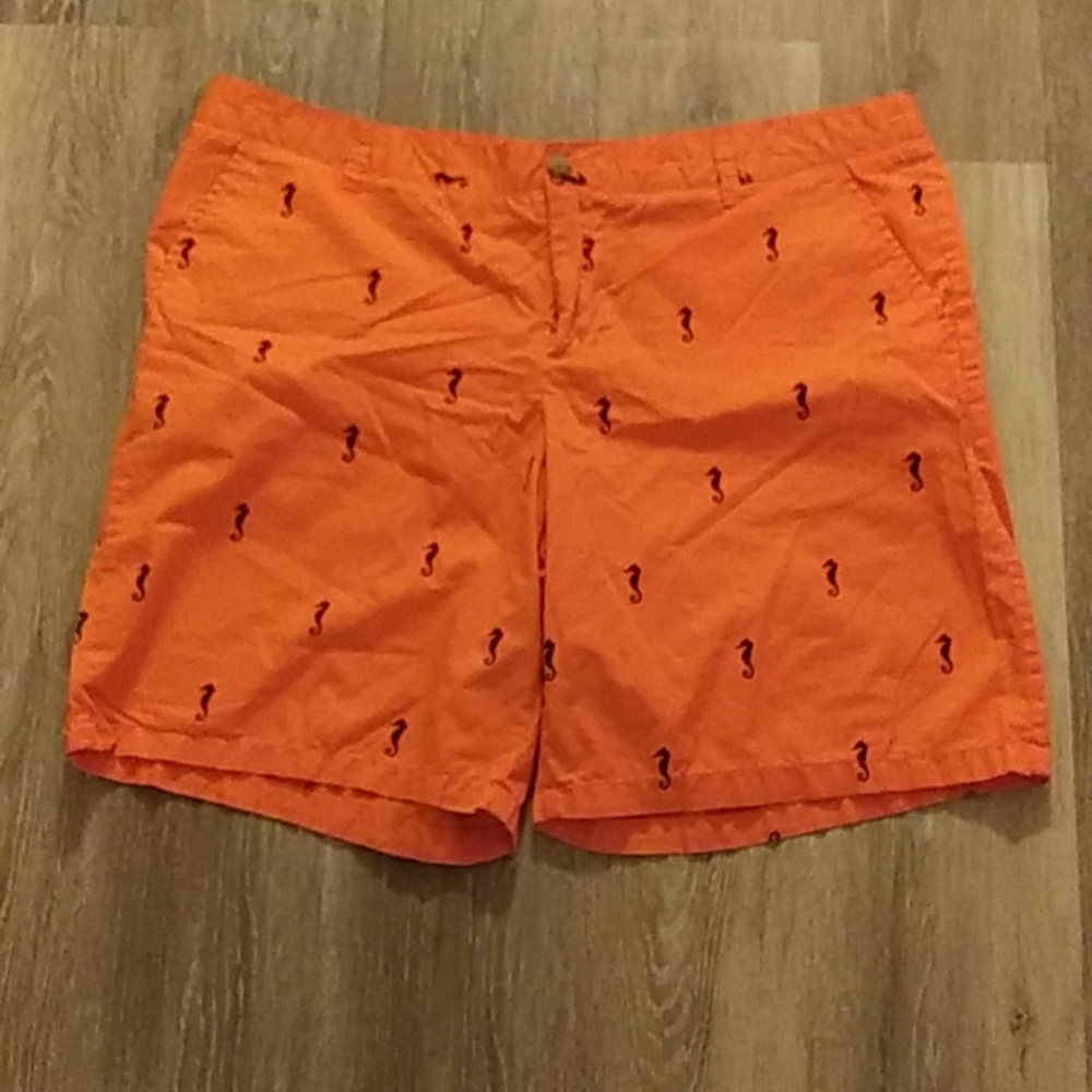 💫 Seahorse Shorts 💫